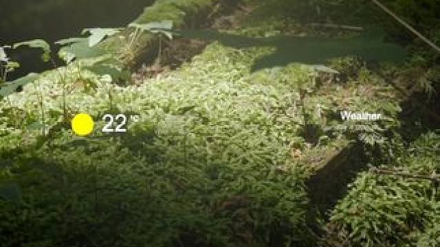 “Color to film is music to opera.”