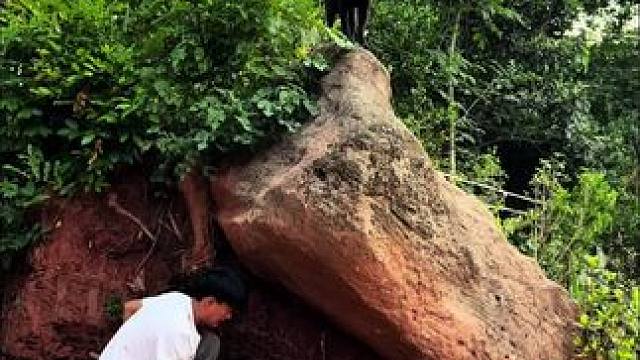 重生之我在乡下给狗狗们复刻个童话里的石屋。#我的乡村生活 #荒野建造 #石屋 #瓜子二手车