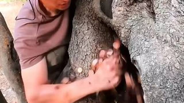 运气来了挡也挡不住 #户外 #户外探险 #寻宝 #不可思议