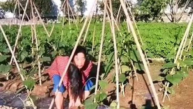 山卡卡里的农村大姐学费了开直播每天收获满满您还在恐播怕播不敢开播开播了不知说些什么吗#记录真实生活 