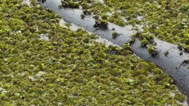 人类禁区-亚马逊雨林，太震撼！ #科普
