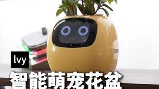 这次我的花花再也养不死了 把植物当宠物养，这个会卖萌的智能花盆也太可爱了 ﻿#智能花盆 ﻿#桌面摆件