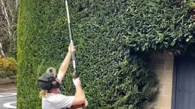 园林绿化修剪✂️，高薪好工作！ #瓜子二手车 #园艺生活 #园林修剪 #解压 #解压视频