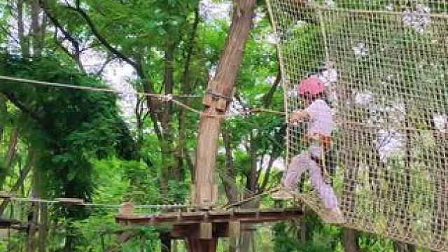 #户外运动 #挑战自我 #丛林穿越 #极限运动