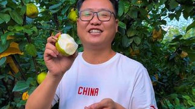 今天在树上，明天在路上，新鲜采摘百里洲翠冠梨！ #新鲜采摘 #翠冠梨 #新农人计划20