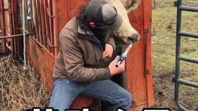 劳动人民的智慧，真是太有才了#劳动人民的智慧 #神操作 #高手在民间 #干活我们是认真的