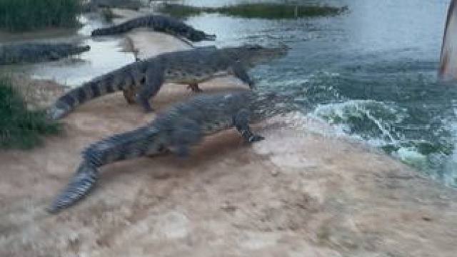 都不知道在这里我才是王吗，看我来了还不自觉下去#非专业人士请勿模仿