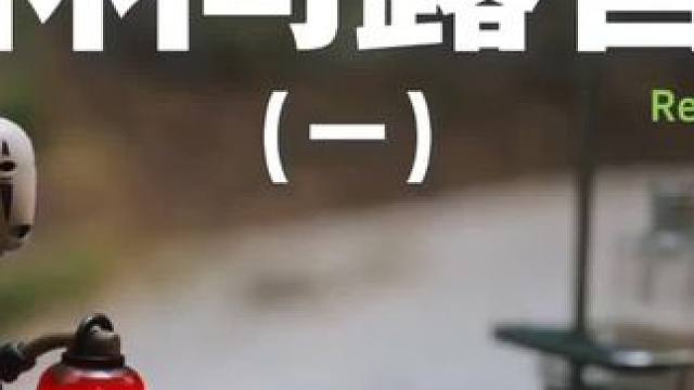 林间露营（一）#露营 #助眠 #解压 #萌宠 #户外露营