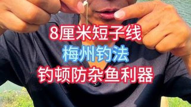 8厘米短子线梅州钓法钓顿防杂鱼利器，快挂短子线双钩成品防缠绕 8厘米短子线梅州钓法钓顿防杂鱼利器，快