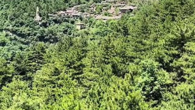 夏天避暑的好去处。就是洛阳抱犊寨。#云上仙谷抱犊古寨#这里是河南栾川抱犊古寨#抱犊古寨夜景竟然这么美