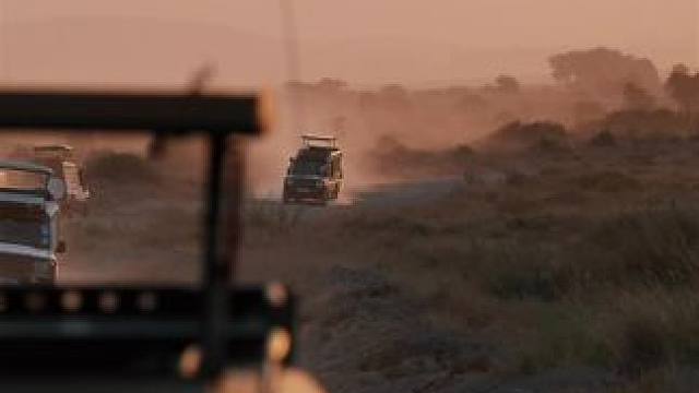 当夕阳为迁徙大军披上金甲，古老的生命律动仍在继续——纵然前路伏卧鳄鱼，身后追赶狮群，蹄声始终铿锵。这