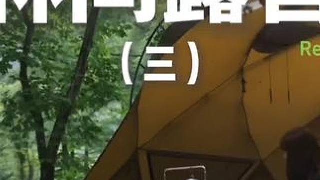 林间露营（三）#露营 #助眠 #解压 #萌宠 #户外露营