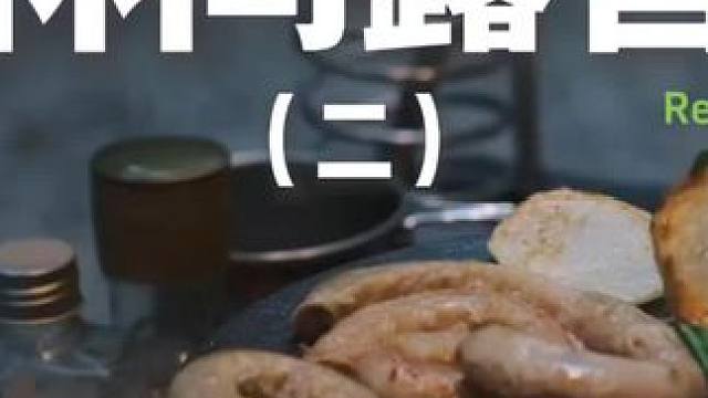 林间露营（二）#露营 #助眠 #解压 #萌宠 #户外露营