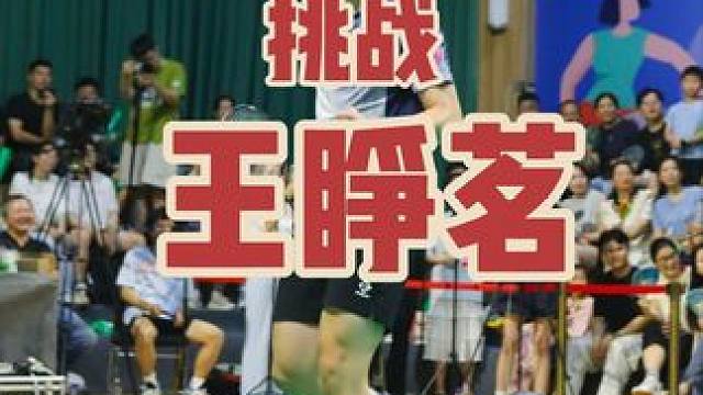 挑战世界男单冠军王睁茗！#羽毛球 #苏羽 #苏羽百分大战