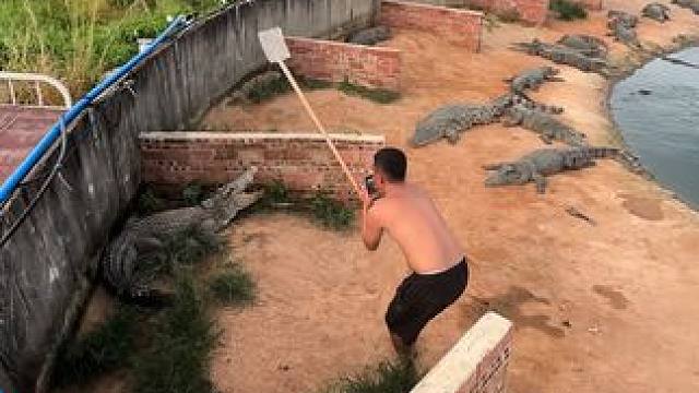 肉多不怕，少一块当做减肥了#非专业人士请勿模仿