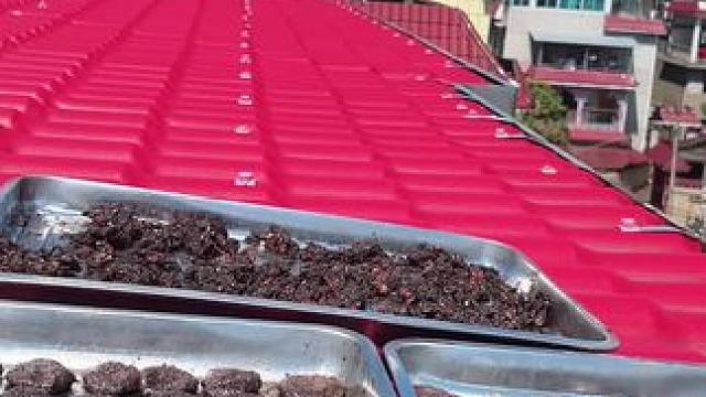 晒酱这活儿，全靠老天爷赏饭吃啊！这两天时不时就来场雷阵雨，吓得直冒气，心也跟着揪揪着——不容易！#家