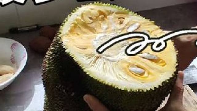 请问主包一年要消耗多少斤水果？
最近调整运动节奏练一休一，每天的水果是运动健身必不可少的食物#健身 