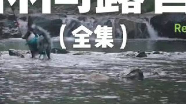 林间露营（全集）#露营 #助眠 #解压 #萌宠 #户外露营