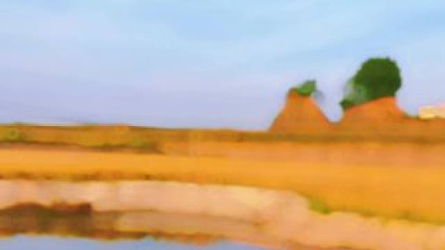 向光而行，总有风景可期。 #乡村田野 #简陋田野 #乡村风景 #田野风光 #风吹麦浪