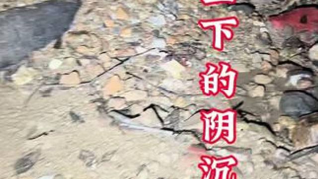 阴沉木 在垂直的天坑下260米深 ，既然沉睡上万年的阴沉木，你敢相信吗