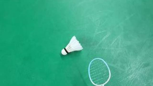 捡球有手就行#川崎极光7#极光7羽毛球拍 #羽毛球