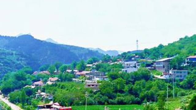 #农村生活 #最美乡村风景 #曹范之行，北横河村。朋友们周末愉快