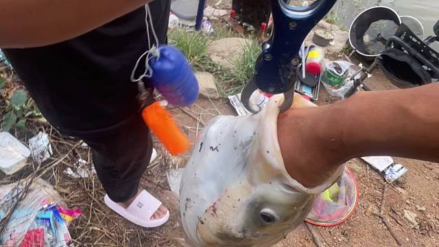 整个全套都塞进去了