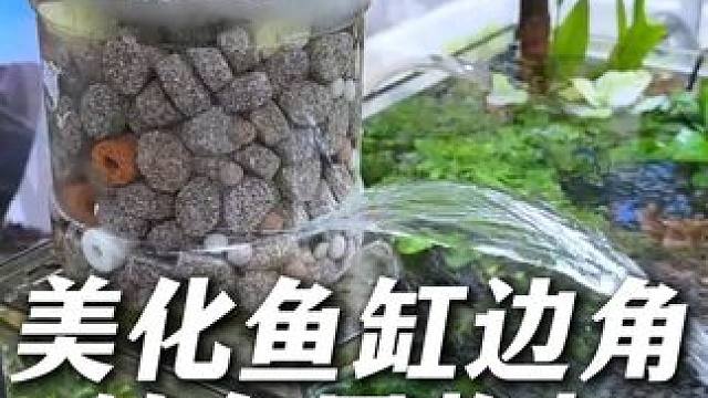 鱼缸的边边角角可别浪费，放个置物架随时收纳，还能变成造景台。 太实用了！#养鱼日记  #新手养鱼 #