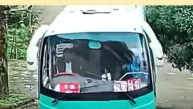 山里的导航会失效，直达家门口的是人心 #农村  #留守老人  #留守儿童 #感动