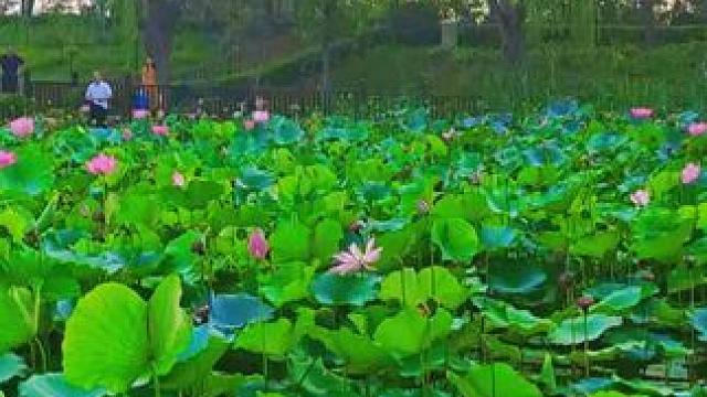 #美丽的大自然风光