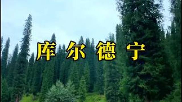 来，库尔德宁喂老鹰#旅行推荐官 #库尔德宁 #大山深处的自然风景 #天然氧吧