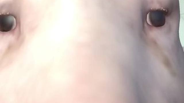 #家有神兽日常 #儿子成长记 #猪头 #特效