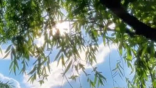 解锁盛夏的N种打开方式，而你，我的朋友，准备如何度过这个夏天#我就爱这么过夏天 #就爱这么过夏天 #