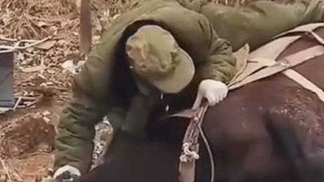 万物皆有灵性。#万物皆有灵性