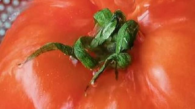 选菜小技巧一定要记好