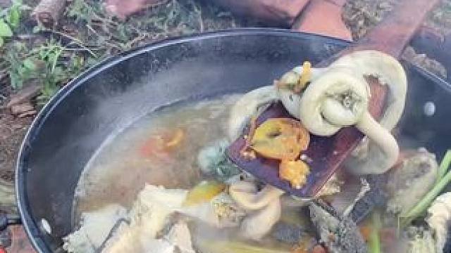 非洲生活 #我的乡村生活 #原创视频 #日常生活 #原生态乡村生活 #农村美食记录生活