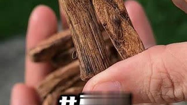 健康咀嚼，满满的葛根纤维，柔软细腻又耐嚼！#葛根#润喉#好物推荐