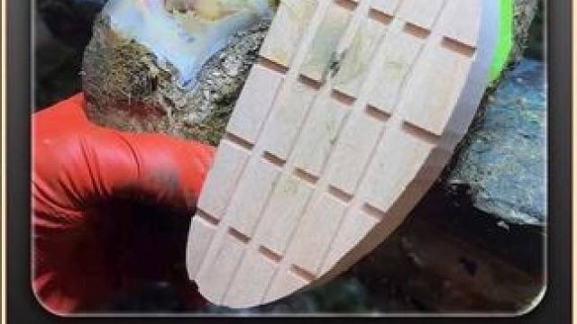 他们不仅想戳破牛牛蹄底的大包，也想把牛牛的指甲盖给揭掉 #瓜子二手车 #解压 #助眠 #修牛蹄