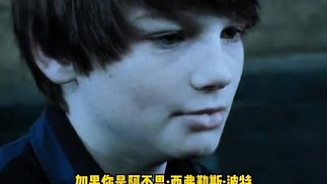 这是真的可以在魔法世界横着走啊 #哈利波特 #霍格沃兹 #魔法 #哈利儿子 #鹅滴神片