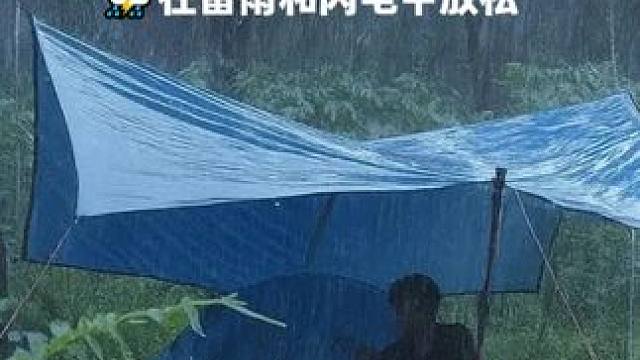 在森林里独自露营大雨中⛈️在雷雨和闪电中放松 #户外露营 #雨中露营 #帐篷露营 #启发搜索激励计划