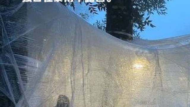 用塑料薄膜制成神奇丛林帐篷，独自在暴雨中露营。 #户外露营 #野外生存 #庇护所建造 #启发搜索激励