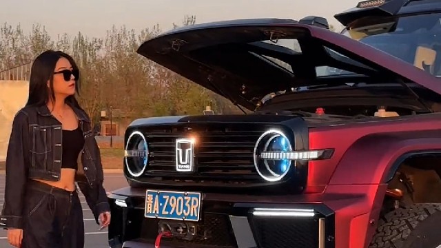 落地 25万的坦克300