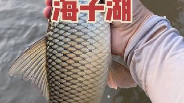 渝北后河的资源还可以啊#户外钓鱼 #野钓路亚 #野钓 #溪流钓