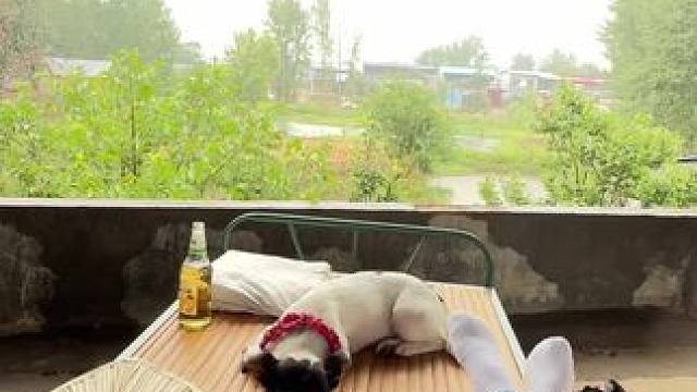 说住睡着了 还撵我半截庄，
清晨俺妈说“嫩 做好饭盖锅里白睡过头了，我以为在做梦…….#回村的生活 