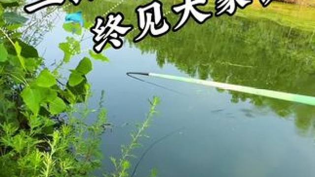 二探隔夜窝终于见大鱼 #钓鱼#户外钓鱼#钓鱼日记#老坛甜薯#广匠浮水增氧泵