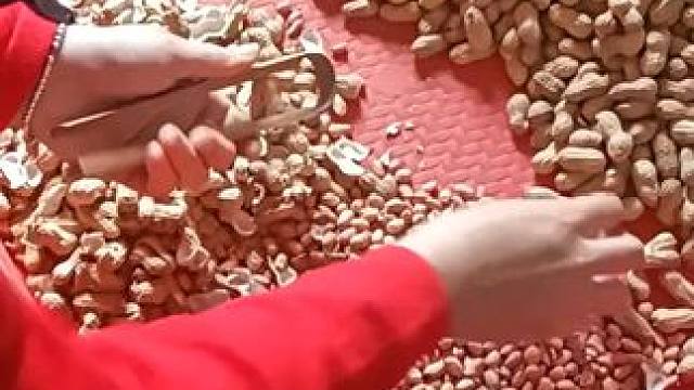 #新农人计划 #乡村的生活 #我的农村生活