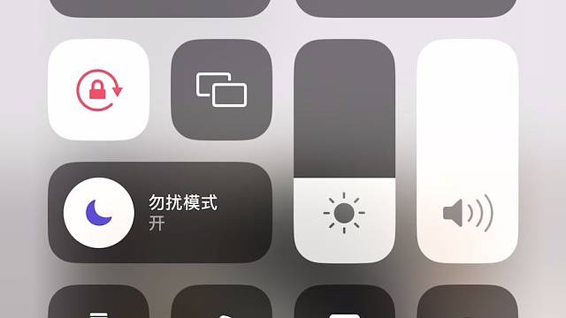 我的真诚是小狗屁