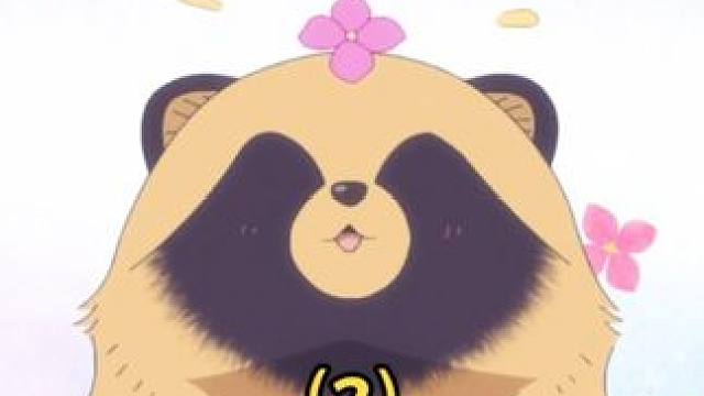 都说流浪猫的花语是手慢无，没想到狸猫也算猫。 #治愈 #可爱 #雨天遇见狸