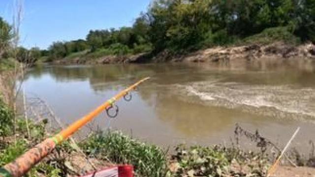 老哥钓到了一条巨大的鳄雀鳝 #国外视频分享 #好大一条鱼 #钓鱼