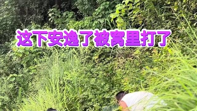 哥哥拉弟弟被打了